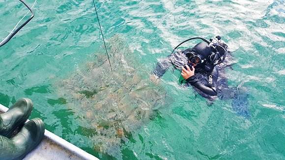 郑州专业潜水打捞安全操作，这里郑州邦悦清洁详细说说，希望可以对您有所帮助。